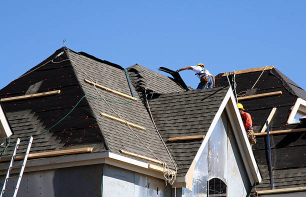 Best Roof Gutter Cleaning  in Blackshear, GA