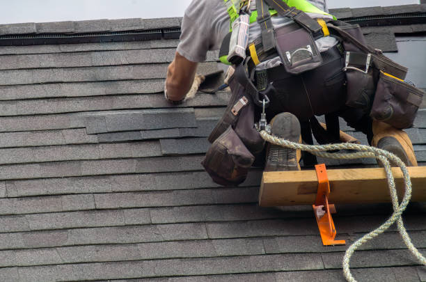 Residential Roof Replacement in Blackshear, GA