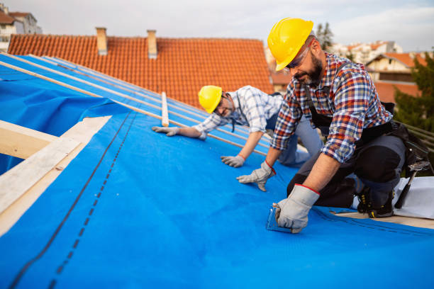 Best Emergency Roof Repair  in Blackshear, GA