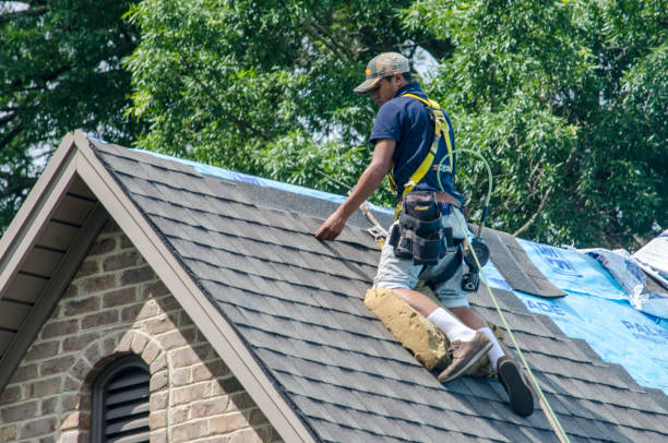 Best Gutter Installation and Roofing  in Blackshear, GA
